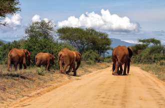 Kenya
