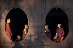 Novice-Monks