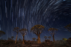 1_Startrail1