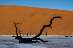 Deadvlei_1