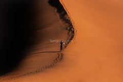 Dunefortyfive