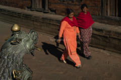 Local-Ladies