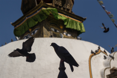 Nepal-Temple