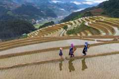 DJI_0626
